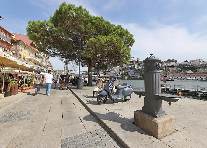 Flh Aliados Loft 아파트 *